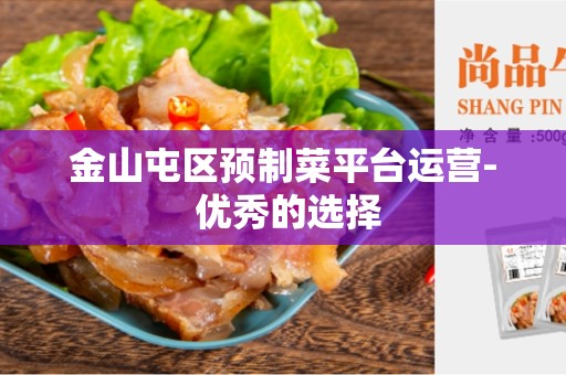 金山屯区预制菜平台运营- 优秀的选择