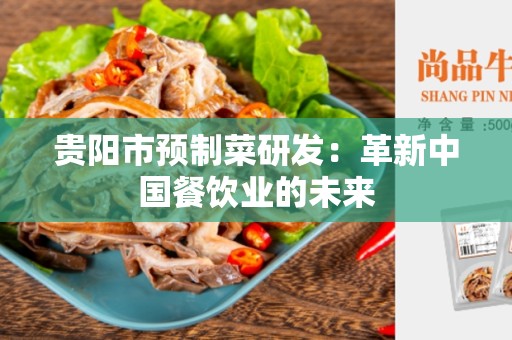 贵阳市预制菜研发：革新中国餐饮业的未来
