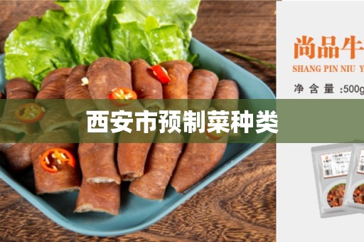 西安市预制菜种类