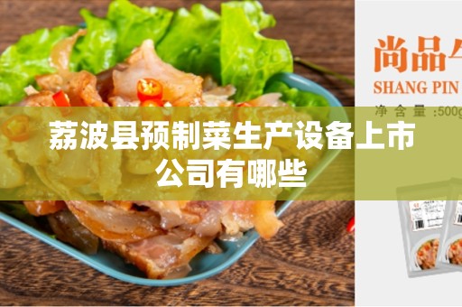 荔波县预制菜生产设备上市公司有哪些