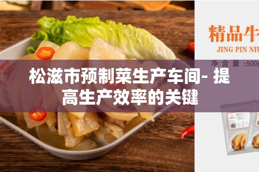 松滋市预制菜生产车间- 提高生产效率的关键