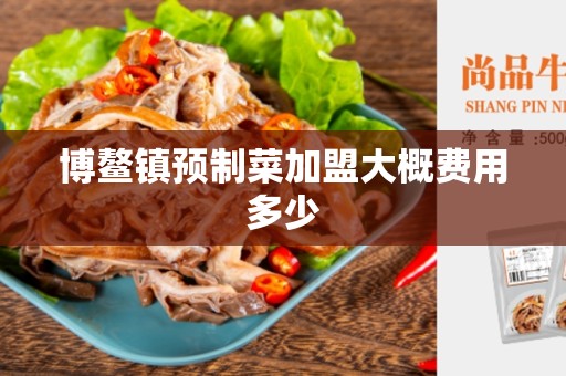 博鳌镇预制菜加盟大概费用多少