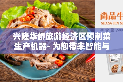兴隆华侨旅游经济区预制菜生产机器- 为您带来智能与效率的合作伙伴