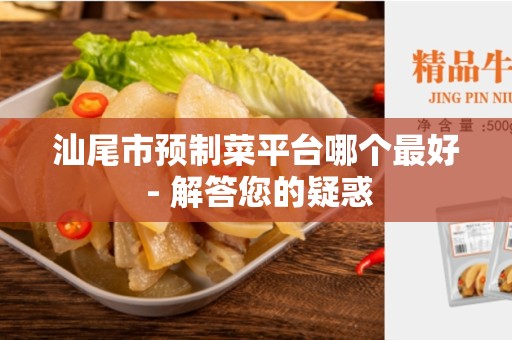 汕尾市预制菜平台哪个最好 - 解答您的疑惑