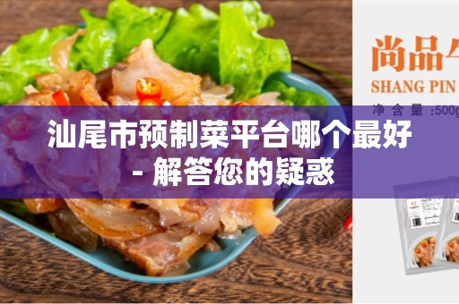 汕尾市预制菜平台哪个最好 - 解答您的疑惑