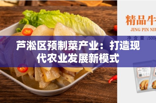 芦淞区预制菜产业：打造现代农业发展新模式
