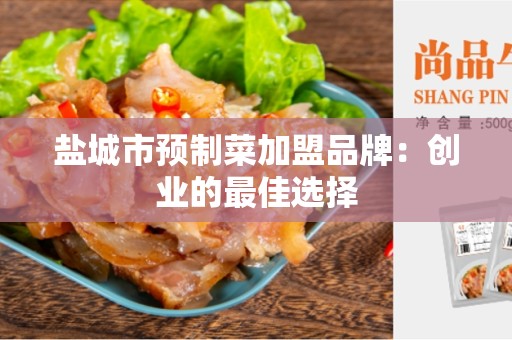 盐城市预制菜加盟品牌：创业的最佳选择