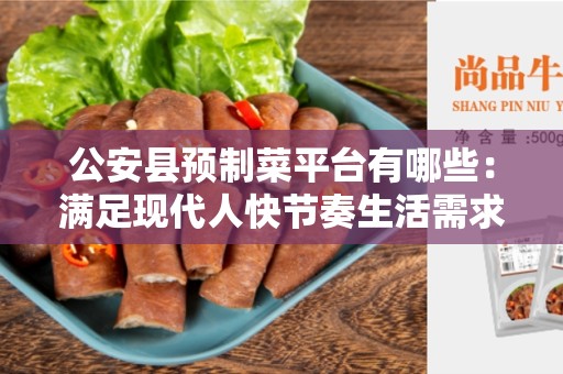 公安县预制菜平台有哪些：满足现代人快节奏生活需求的理想选择
