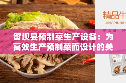 留坝县预制菜生产设备：为高效生产预制菜而设计的关键设备