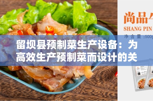 留坝县预制菜生产设备：为高效生产预制菜而设计的关键设备