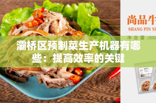 灞桥区预制菜生产机器有哪些：提高效率的关键