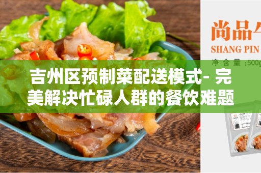 吉州区预制菜配送模式- 完美解决忙碌人群的餐饮难题