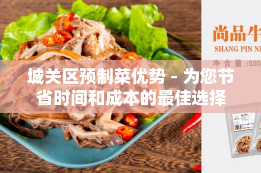 城关区预制菜优势 - 为您节省时间和成本的最佳选择