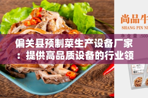 偏关县预制菜生产设备厂家：提供高品质设备的行业领先者