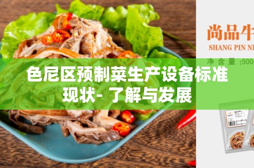 色尼区预制菜生产设备标准现状- 了解与发展