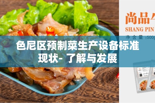 色尼区预制菜生产设备标准现状- 了解与发展