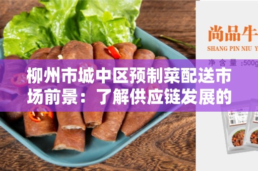 柳州市城中区预制菜配送市场前景：了解供应链发展的新机遇