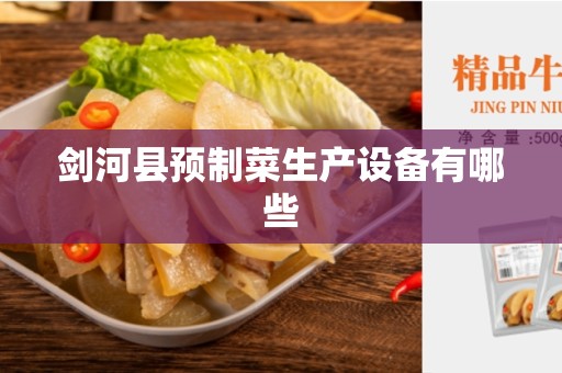 剑河县预制菜生产设备有哪些