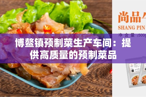 博鳌镇预制菜生产车间：提供高质量的预制菜品