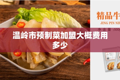 温岭市预制菜加盟大概费用多少