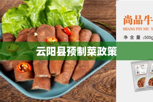 云阳县预制菜政策