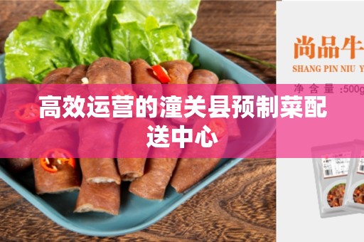 高效运营的潼关县预制菜配送中心