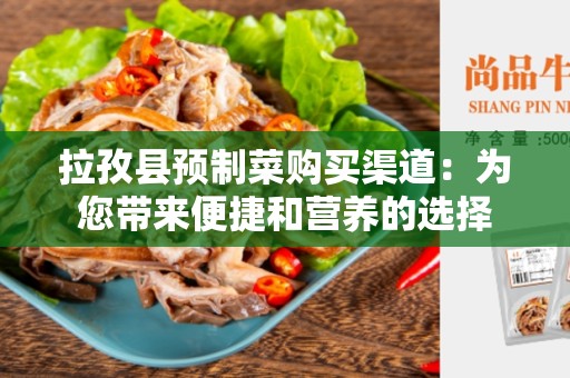 拉孜县预制菜购买渠道：为您带来便捷和营养的选择