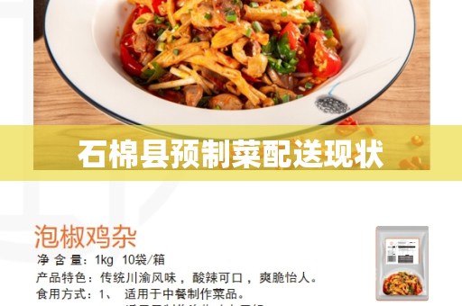石棉县预制菜配送现状