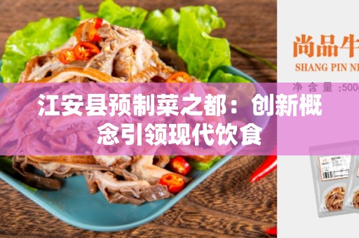 江安县预制菜之都：创新概念引领现代饮食