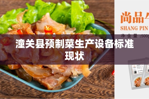 潼关县预制菜生产设备标准现状