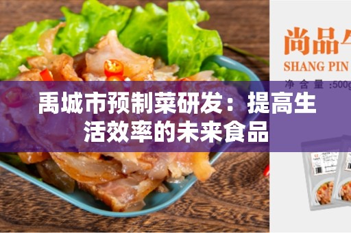 禹城市预制菜研发：提高生活效率的未来食品