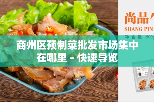 商州区预制菜批发市场集中在哪里 - 快速导览