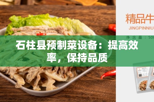 石柱县预制菜设备：提高效率，保持品质