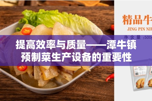 提高效率与质量——潭牛镇预制菜生产设备的重要性