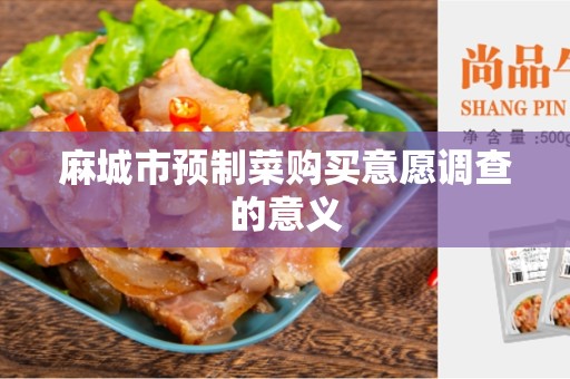 麻城市预制菜购买意愿调查的意义