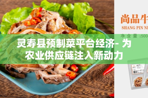 灵寿县预制菜平台经济- 为农业供应链注入新动力