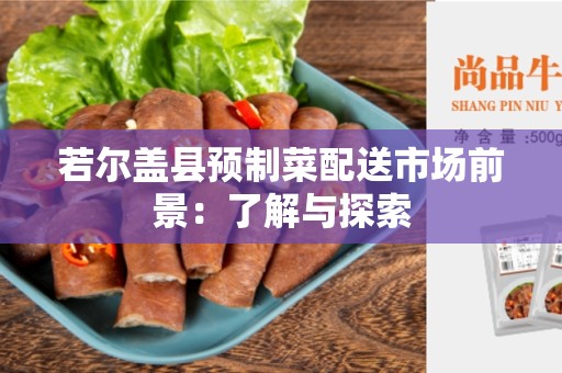 若尔盖县预制菜配送市场前景：了解与探索