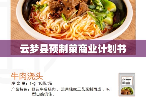 云梦县预制菜商业计划书