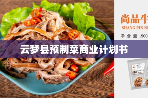 云梦县预制菜商业计划书