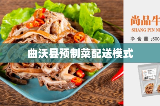 曲沃县预制菜配送模式