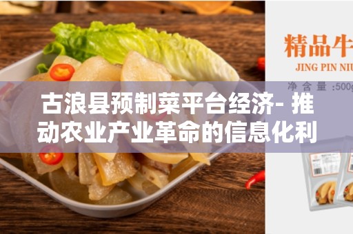 古浪县预制菜平台经济- 推动农业产业革命的信息化利器