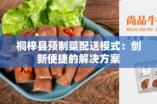 桐梓县预制菜配送模式：创新便捷的解决方案