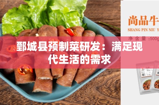鄄城县预制菜研发：满足现代生活的需求