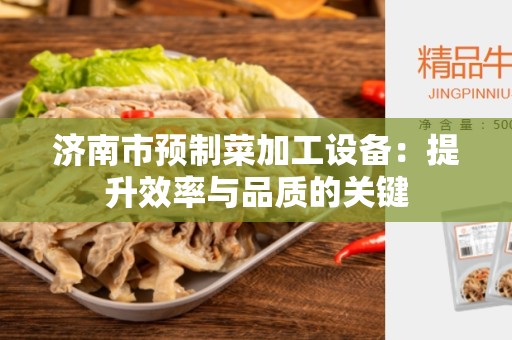 济南市预制菜加工设备：提升效率与品质的关键