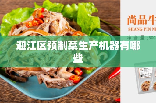 迎江区预制菜生产机器有哪些