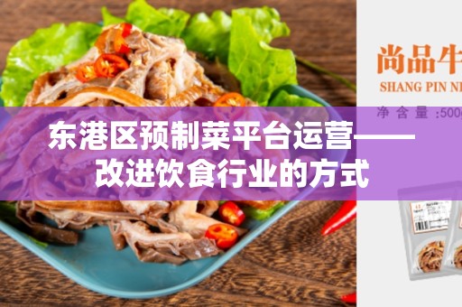 东港区预制菜平台运营——改进饮食行业的方式