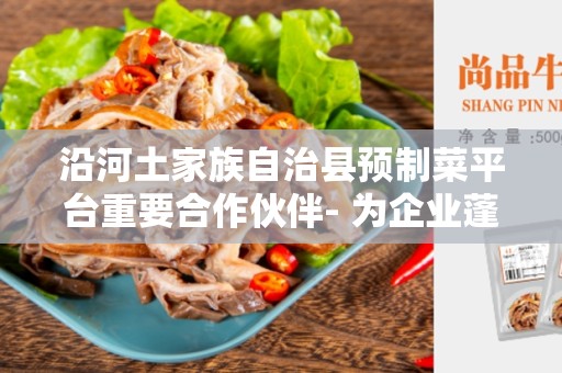 沿河土家族自治县预制菜平台重要合作伙伴- 为企业蓬勃发展奠定基础
