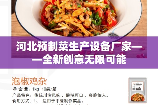 河北预制菜生产设备厂家——全新创意无限可能