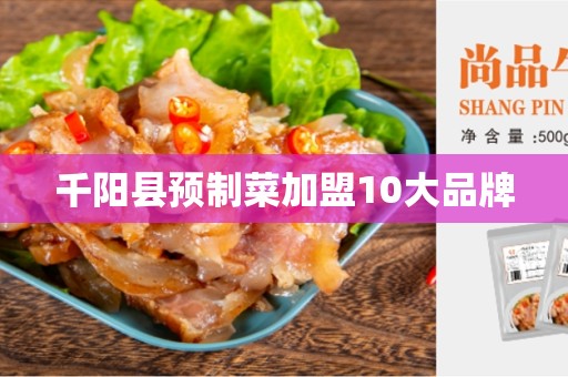 千阳县预制菜加盟10大品牌