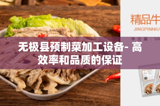 无极县预制菜加工设备- 高效率和品质的保证